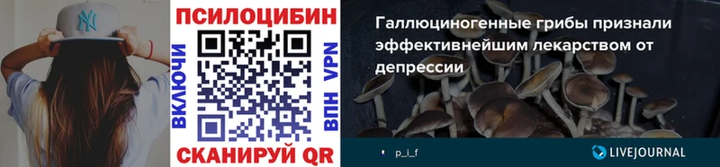 Галлюциногенные грибы Cubensis  Светогорск 
